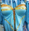 Adult Female Costumes to Hire - Jasmine Arabian BLUE - Sequin - ADULT